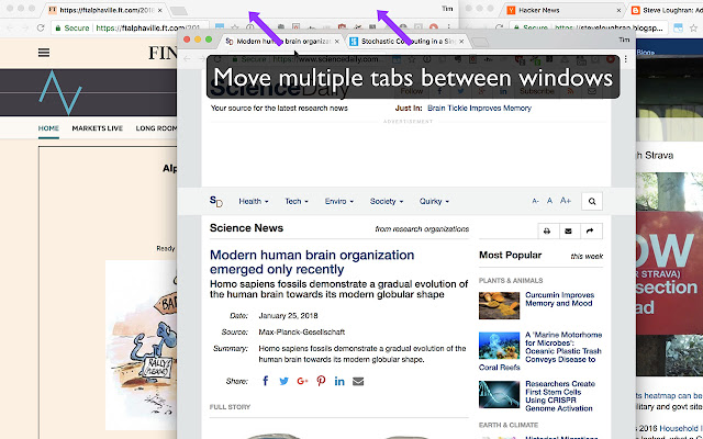 QuickShift Redux Rearrange Chrome Tabs from Chrome web store to be run with OffiDocs Chromium online QuickShift Redux Rearrange Chrome Tabs from Chrome web store to be run with OffiDocs Chromium online