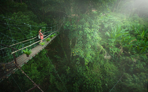 Rainforest Escape from Chrome web store to be run with OffiDocs Chromium online Rainforest Escape from Chrome web store to be run with OffiDocs Chromium online