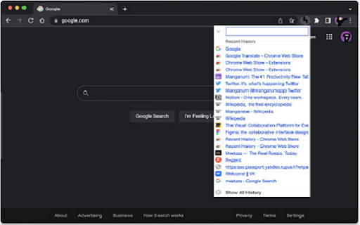 Recent History URL from Chrome web store to be run with OffiDocs Chromium online Recent History URL from Chrome web store to be run with OffiDocs Chromium online