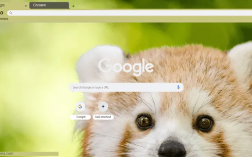 Red pandas from Chrome web store to be run with OffiDocs Chromium online Red pandas from Chrome web store to be run with OffiDocs Chromium online
