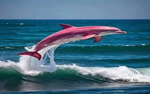 Red whale wallpaper from Chrome web store to be run with OffiDocs Chromium online Red whale wallpaper from Chrome web store to be run with OffiDocs Chromium online