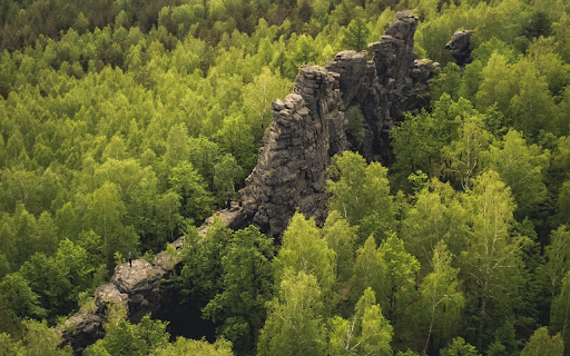 Rock Formation in the Middle of a Dense Forest from Chrome web store to be run with OffiDocs Chromium online Rock Formation in the Middle of a Dense Forest from Chrome web store to be run with OffiDocs Chromium online