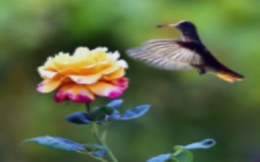 Rose with Bird from Chrome web store to be run with OffiDocs Chromium online Rose with Bird from Chrome web store to be run with OffiDocs Chromium online