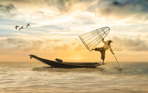 Rowing boat to catch fish from Chrome web store to be run with OffiDocs Chromium online Rowing boat to catch fish from Chrome web store to be run with OffiDocs Chromium online