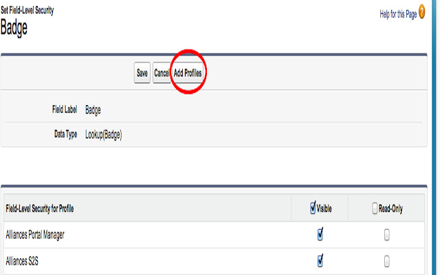 Salesforce Profile Access Helper from Chrome web store to be run with OffiDocs Chromium online Salesforce Profile Access Helper from Chrome web store to be run with OffiDocs Chromium online