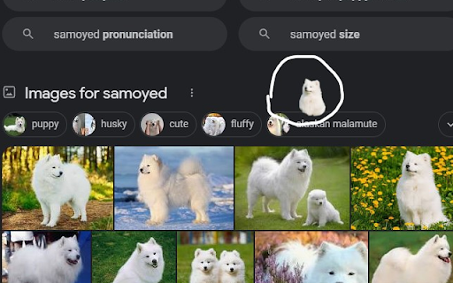 Samoyed Surprise from Chrome web store to be run with OffiDocs Chromium online Samoyed Surprise from Chrome web store to be run with OffiDocs Chromium online