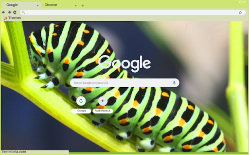 Sau Buom from Chrome web store to be run with OffiDocs Chromium online Sau Buom from Chrome web store to be run with OffiDocs Chromium online