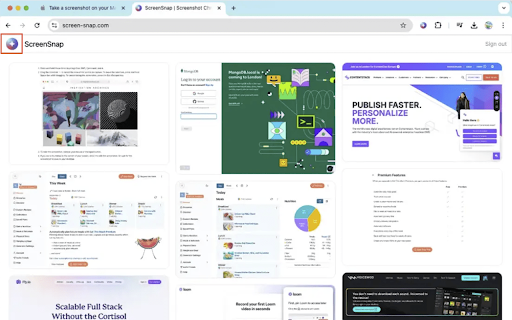 Screen Snap from Chrome web store to be run with OffiDocs Chromium online Screen Snap from Chrome web store to be run with OffiDocs Chromium online
