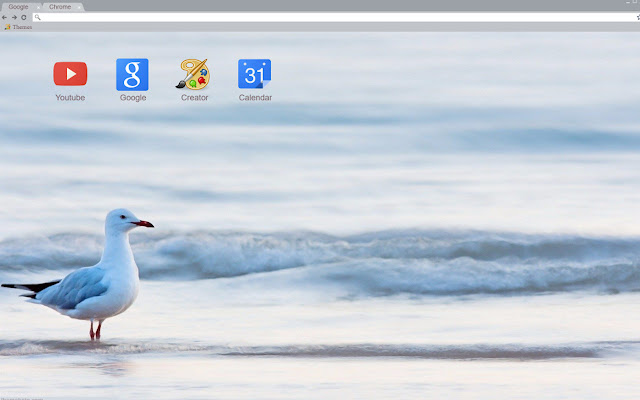 Seagull On Beach from Chrome web store to be run with OffiDocs Chromium online Seagull On Beach from Chrome web store to be run with OffiDocs Chromium online