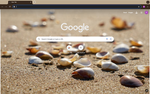 sea shells from Chrome web store to be run with OffiDocs Chromium online sea shells from Chrome web store to be run with OffiDocs Chromium online