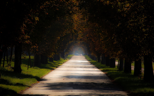 shady road from Chrome web store to be run with OffiDocs Chromium online shady road from Chrome web store to be run with OffiDocs Chromium online