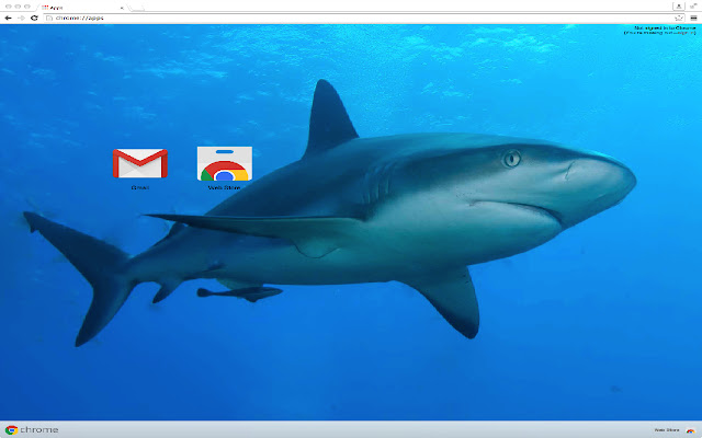 Shark Theme from Chrome web store to be run with OffiDocs Chromium online Shark Theme from Chrome web store to be run with OffiDocs Chromium online