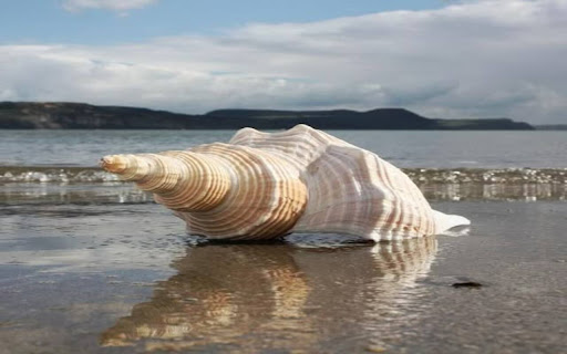 shell wallpaper from Chrome web store to be run with OffiDocs Chromium online shell wallpaper from Chrome web store to be run with OffiDocs Chromium online