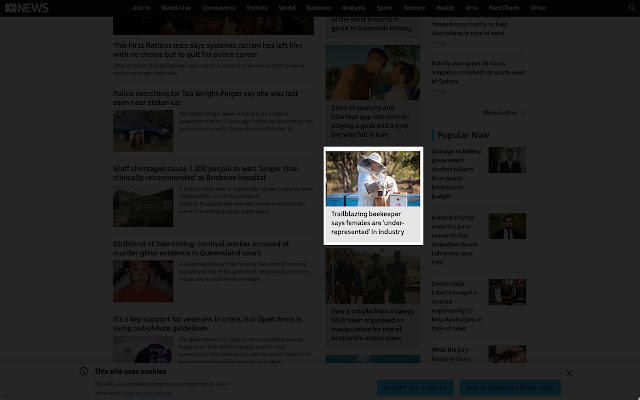 Show Pony from Chrome web store to be run with OffiDocs Chromium online Show Pony from Chrome web store to be run with OffiDocs Chromium online