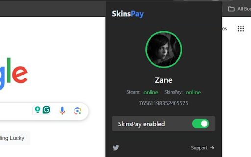 SkinsPay Link from Chrome web store to be run with OffiDocs Chromium online SkinsPay Link from Chrome web store to be run with OffiDocs Chromium online