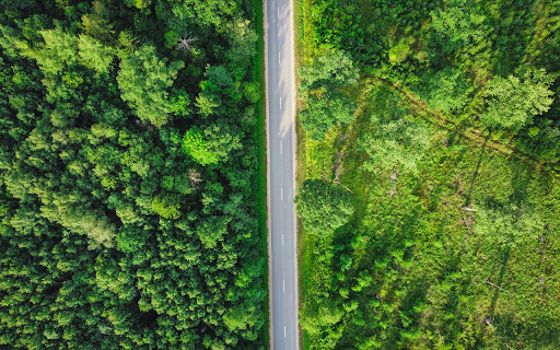 Small road through the forest from Chrome web store to be run with OffiDocs Chromium online Small road through the forest from Chrome web store to be run with OffiDocs Chromium online
