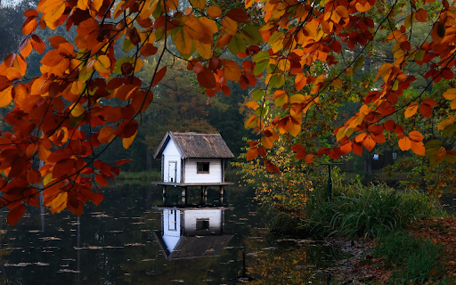 Small tent in the middle of the lake from Chrome web store to be run with OffiDocs Chromium online Small tent in the middle of the lake from Chrome web store to be run with OffiDocs Chromium online