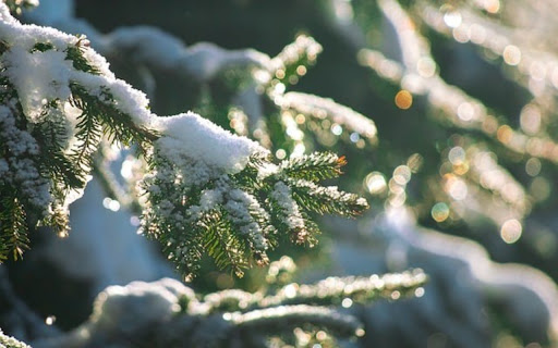 SNOW Theme from Chrome web store to be run with OffiDocs Chromium online SNOW Theme from Chrome web store to be run with OffiDocs Chromium online