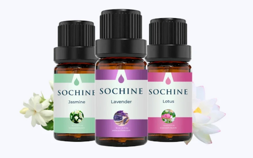 Sochine from Chrome web store to be run with OffiDocs Chromium online Sochine from Chrome web store to be run with OffiDocs Chromium online