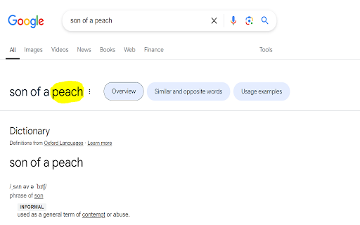 Son of a peach!: Offensive Word Replacer from Chrome web store to be run with OffiDocs Chromium online Son of a peach!: Offensive Word Replacer from Chrome web store to be run with OffiDocs Chromium online