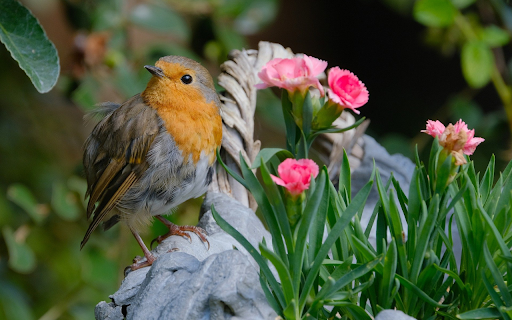 Stone birds and flowers from Chrome web store to be run with OffiDocs Chromium online Stone birds and flowers from Chrome web store to be run with OffiDocs Chromium online