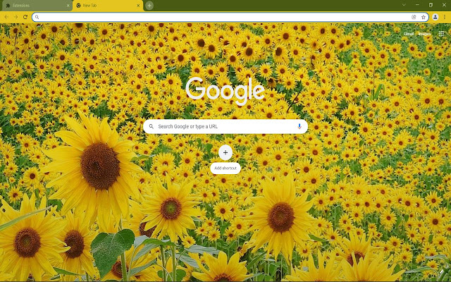 Sunflower Backgrounds from Chrome web store to be run with OffiDocs Chromium online Sunflower Backgrounds from Chrome web store to be run with OffiDocs Chromium online