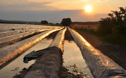 sunset and fields from Chrome web store to be run with OffiDocs Chromium online sunset and fields from Chrome web store to be run with OffiDocs Chromium online
