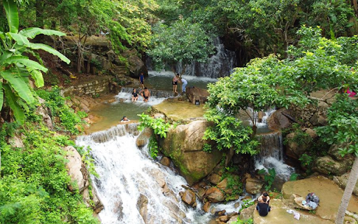 Suoi Thien Cam from Chrome web store to be run with OffiDocs Chromium online Suoi Thien Cam from Chrome web store to be run with OffiDocs Chromium online