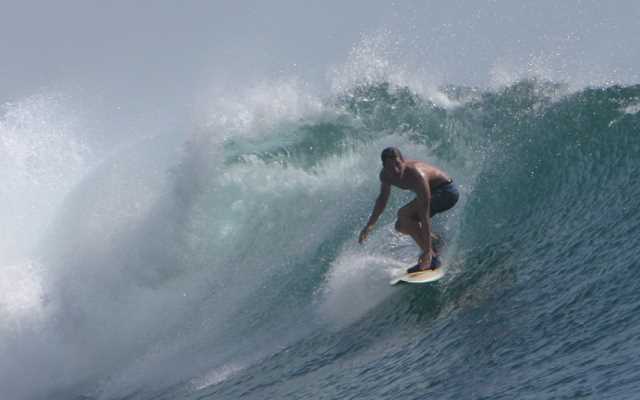 SurfGuru from Chrome web store to be run with OffiDocs Chromium online SurfGuru from Chrome web store to be run with OffiDocs Chromium online
