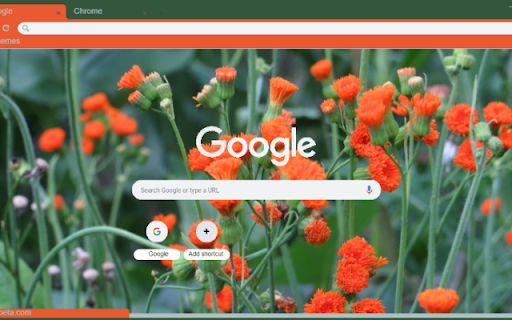 Tassel Flower from Chrome web store to be run with OffiDocs Chromium online Tassel Flower from Chrome web store to be run with OffiDocs Chromium online