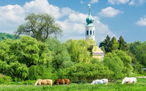 The old drunken horses ate grass from Chrome web store to be run with OffiDocs Chromium online The old drunken horses ate grass from Chrome web store to be run with OffiDocs Chromium online