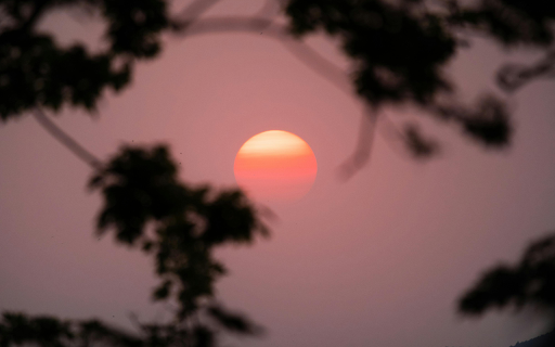 The sun is setting behind trees in the distance from Chrome web store to be run with OffiDocs Chromium online The sun is setting behind trees in the distance from Chrome web store to be run with OffiDocs Chromium online