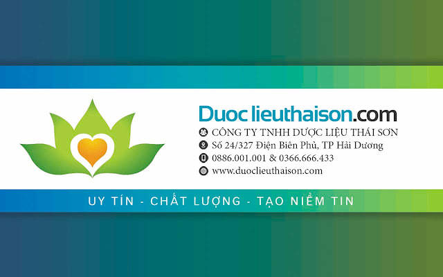 Thông tin về Thái Sơn from Chrome web store to be run with OffiDocs Chromium online Thông tin về Thái Sơn from Chrome web store to be run with OffiDocs Chromium online