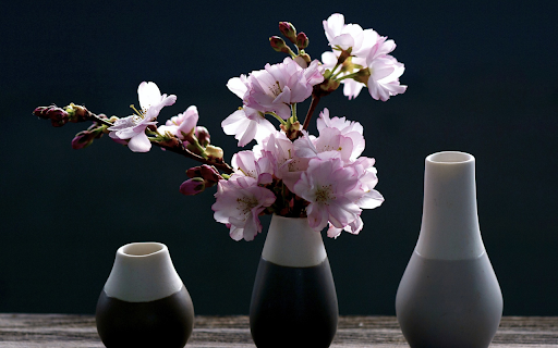 Three flower vases from Chrome web store to be run with OffiDocs Chromium online Three flower vases from Chrome web store to be run with OffiDocs Chromium online