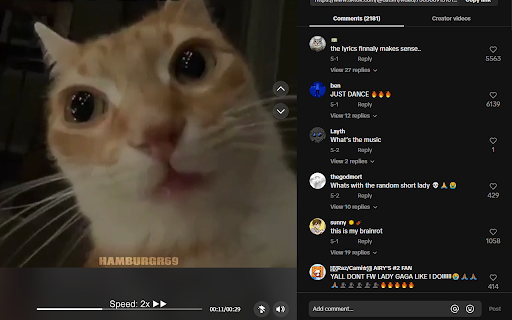 TikTok 2x Speed Option from Chrome web store to be run with OffiDocs Chromium online TikTok 2x Speed Option from Chrome web store to be run with OffiDocs Chromium online