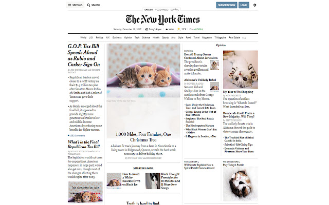 Toggleable Chrome Exkittension from Chrome web store to be run with OffiDocs Chromium online Toggleable Chrome Exkittension from Chrome web store to be run with OffiDocs Chromium online