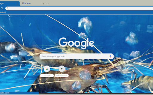 Tom Cang Xanh from Chrome web store to be run with OffiDocs Chromium online Tom Cang Xanh from Chrome web store to be run with OffiDocs Chromium online