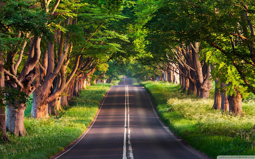 Tree Lined Pathway from Chrome web store to be run with OffiDocs Chromium online Tree Lined Pathway from Chrome web store to be run with OffiDocs Chromium online