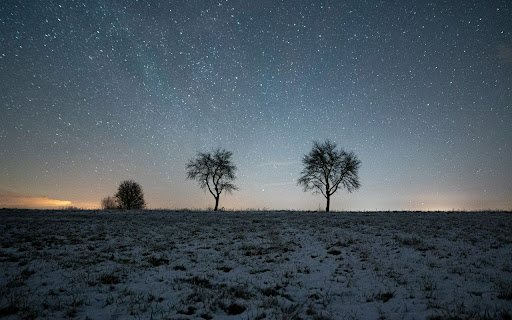 Trees Theme from Chrome web store to be run with OffiDocs Chromium online Trees Theme from Chrome web store to be run with OffiDocs Chromium online