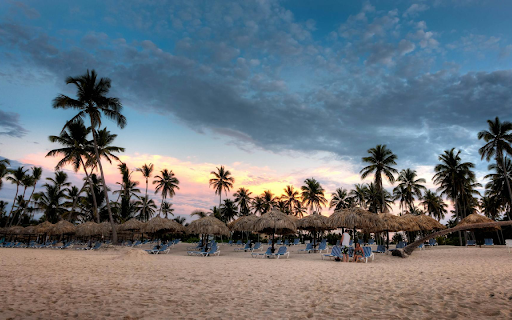 Tropical Paradise Theme from Chrome web store to be run with OffiDocs Chromium online Tropical Paradise Theme from Chrome web store to be run with OffiDocs Chromium online