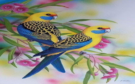two parrots wallpaper from Chrome web store to be run with OffiDocs Chromium online two parrots wallpaper from Chrome web store to be run with OffiDocs Chromium online