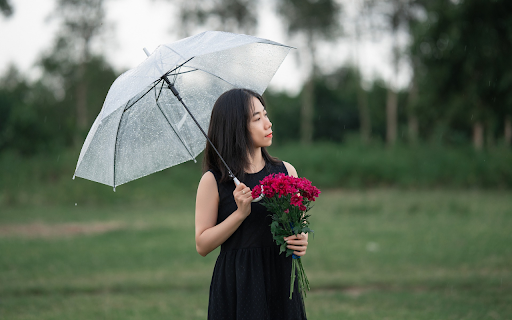 Umbrella pink purple flowers from Chrome web store to be run with OffiDocs Chromium online Umbrella pink purple flowers from Chrome web store to be run with OffiDocs Chromium online