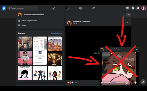 Un PIP for Facebook from Chrome web store to be run with OffiDocs Chromium online Un PIP for Facebook from Chrome web store to be run with OffiDocs Chromium online