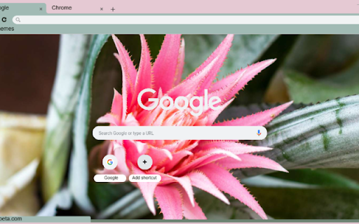 Urn Plant from Chrome web store to be run with OffiDocs Chromium online Urn Plant from Chrome web store to be run with OffiDocs Chromium online