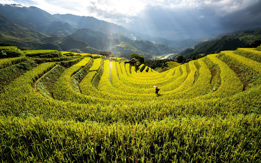 U shaped terraced fields from Chrome web store to be run with OffiDocs Chromium online U shaped terraced fields from Chrome web store to be run with OffiDocs Chromium online