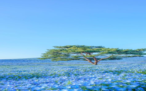 Vast grassland wallpaper from Chrome web store to be run with OffiDocs Chromium online Vast grassland wallpaper from Chrome web store to be run with OffiDocs Chromium online