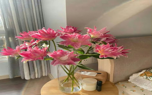 vibrant tulip wallpaper from Chrome web store to be run with OffiDocs Chromium online vibrant tulip wallpaper from Chrome web store to be run with OffiDocs Chromium online