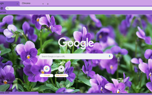 Violet from Chrome web store to be run with OffiDocs Chromium online Violet from Chrome web store to be run with OffiDocs Chromium online