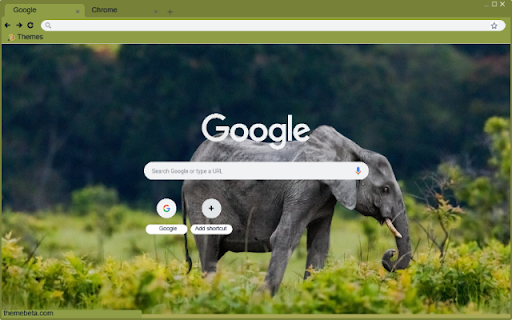 Voi rung from Chrome web store to be run with OffiDocs Chromium online Voi rung from Chrome web store to be run with OffiDocs Chromium online