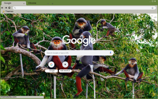 Vooc from Chrome web store to be run with OffiDocs Chromium online Vooc from Chrome web store to be run with OffiDocs Chromium online